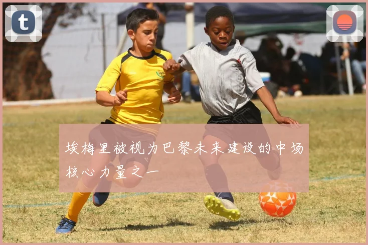 埃梅里被视为巴黎未来建设的中场核心力量之一
